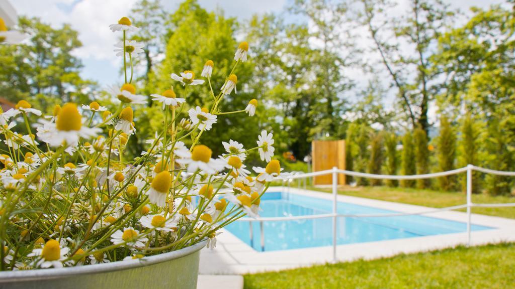 Aristotelia Gi Ikies - Olympiada Poolside Retreats ภายนอก รูปภาพ